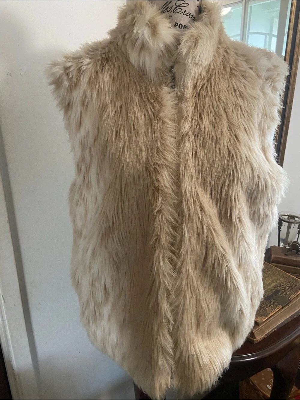 Plush Faux Fur Vest in Light Beige - Picture 1 of 5